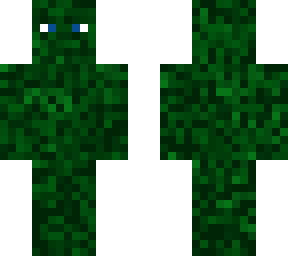 camo skin