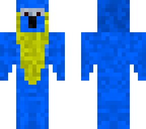blue and gold macaw