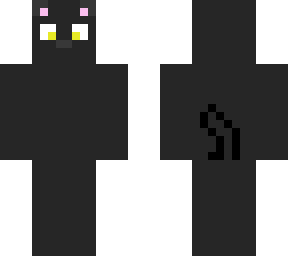 black kitty