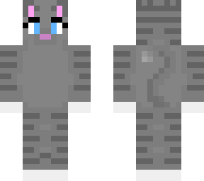 tabby cat