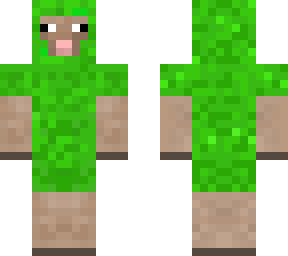 sheep