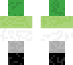 aromantic flag skin