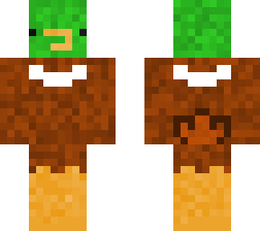 male duck