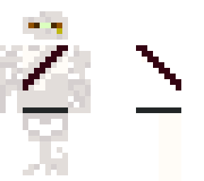 the white ninja