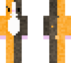guinnea pig