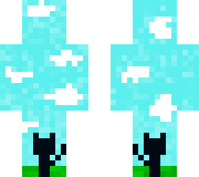 cat by the sky