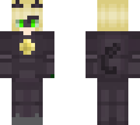 cat noir