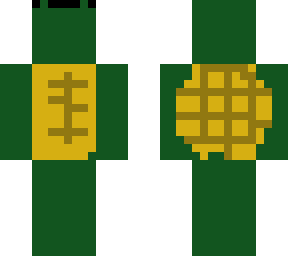 turtle 6