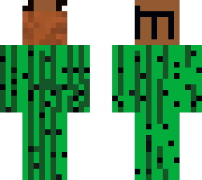 skin