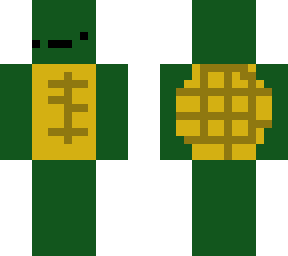 turtle 8