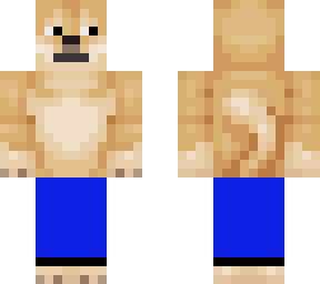 doge with blue pants