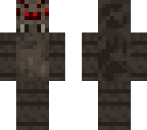spider base