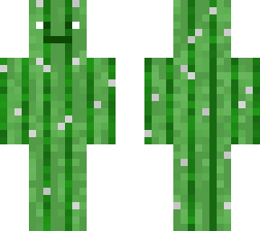 cactus skin