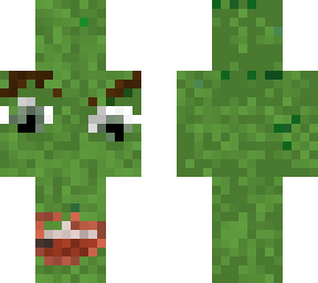 picolas new form
