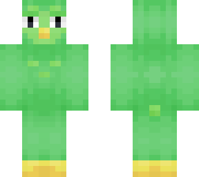 duo bird