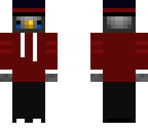 hoodie birdb