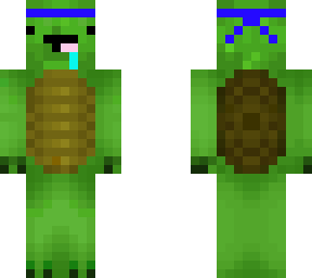 mouls's turtle