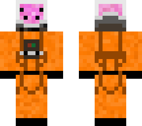 pig in a space suit
