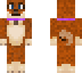 shibe