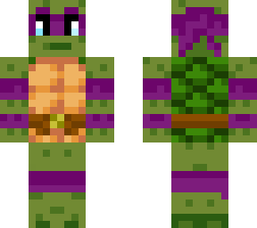 ninja turtle