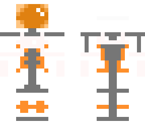 poland cosmonaut