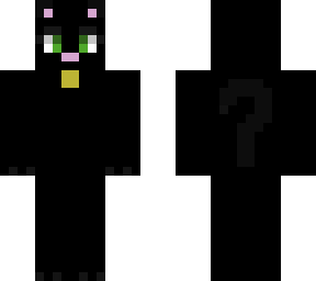 a different black cat