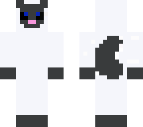 siamese cat