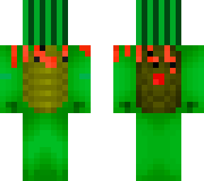 watermelon-head mine turtle