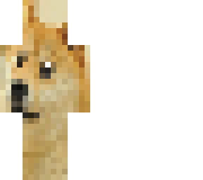 doge