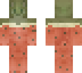 watermelon cat