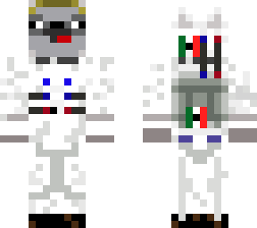 Racoon | Minecraft Skins