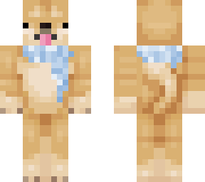 doge with blue scarf