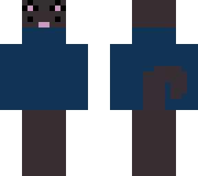 turtleneck cat