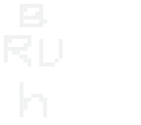 bruh