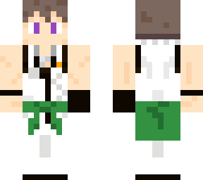 seiji shingen v2