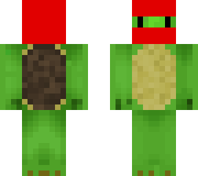 backwards turtle ninja