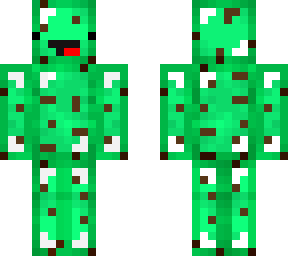 skeppy mint chocolate chip