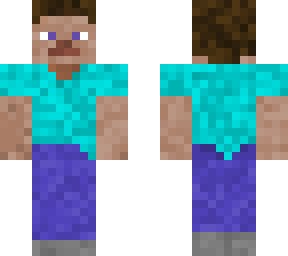 steve 2.0