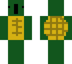 turtle 9