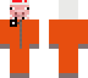 cosmonaut pig
