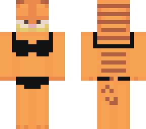 garfield ready to swim