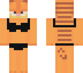 garfield ready to swim