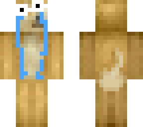 doge with clout (sad)