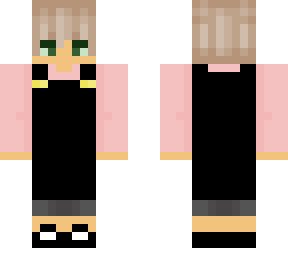 skin for dictionariess