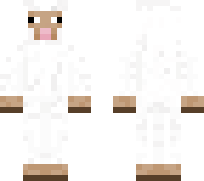 sheep