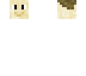 the head