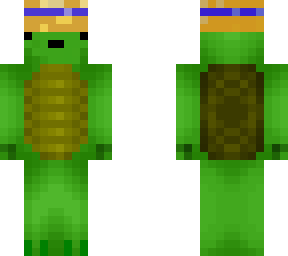 turtle with beach hat