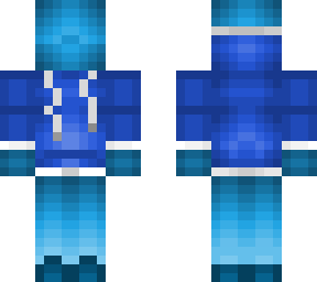 dolphin with hoodie