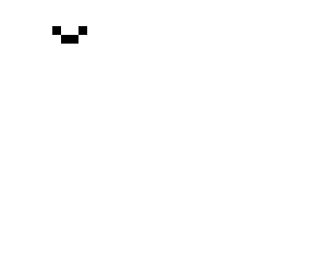 random face