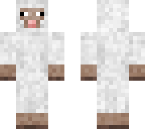 sheep